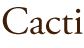 Cacti