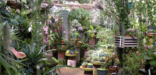 Inside the Greenhouse
