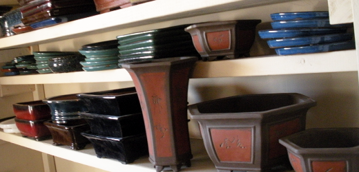 Bonsai pots and trays