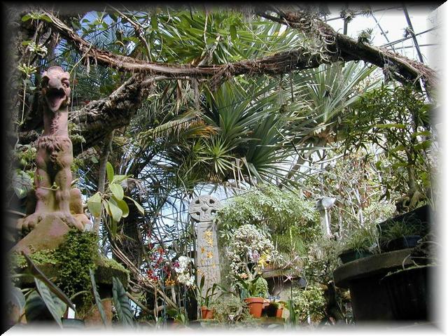 View of entrance to greenhouse