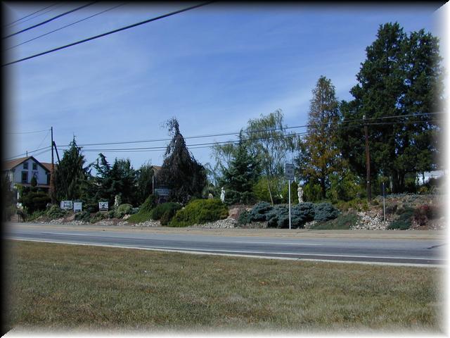 View of house from road